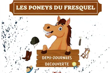 LES PONEYS DU FRESQUEL