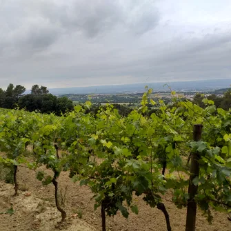 Sur les traces de son château