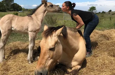 LE CHEVAL PAR NATURE