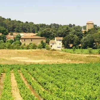 CHÂTEAU FONTIÈS