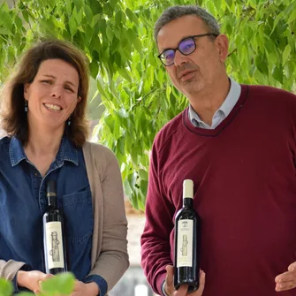 VISITE DÉCOUVERTE DE L’AGROFORESTERIE À MASSAMIER LA MIGNARDE