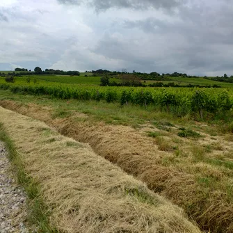 Sur les traces de son château