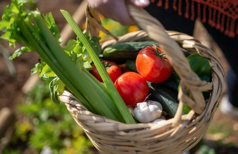 MARCHÉ HEBDOMADAIRE