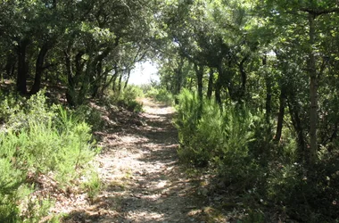 La Route des Moutons