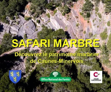 SAFARI MARBRE