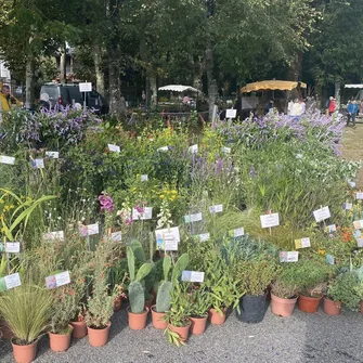 4ÈME FESTIVAL DES PLANTES EN MONTAGNE NOIRE