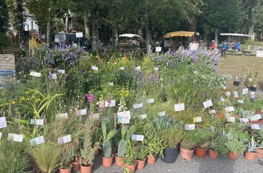 4ÈME FESTIVAL DES PLANTES EN MONTAGNE NOIRE