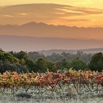 DOMAINE DE CABROL