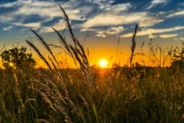 Balade au coucher du soleil à Colombiers