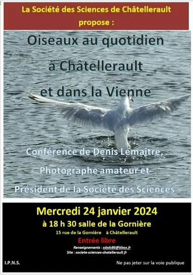 Oiseaux au quotidien à Châtellerault et dans la Vienne, conférence de Denis Lemaître_1