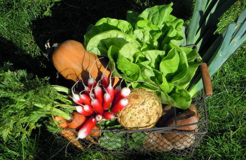 Micro-Ferme des Châtaigniers