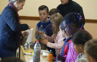 Fête de la Science Atelier Invisible Biodiversité