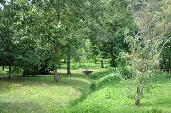 Arboretum d'Archigny_2