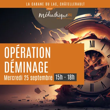 Jeu vidéo : opération déminage