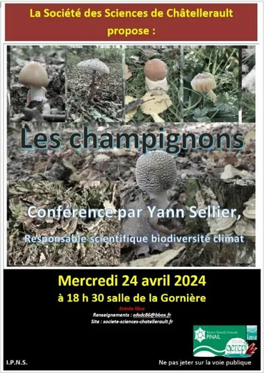 Les champignons, conférence par Yann Sellier_1