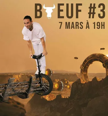 BOEUF #3