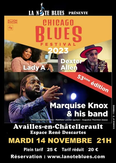 Chicago Blues Festival