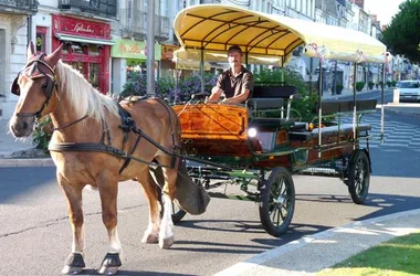 Les Calèches et Roulottes enchantées