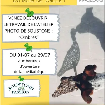 Médiathèque de Magescq / Exposition du mois de juillet