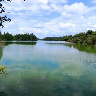 La Réserve Naturelle de l’Etang Noir