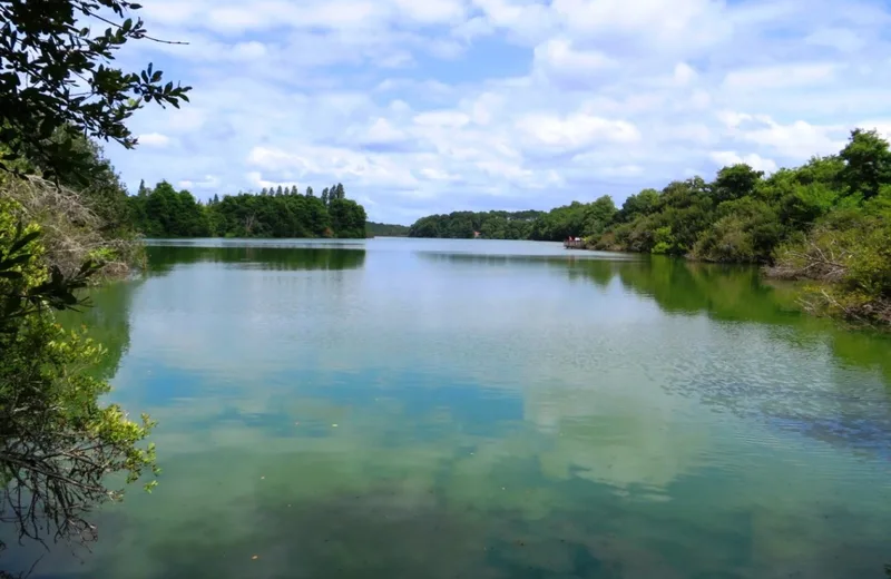 La Réserve Naturelle de l’Etang Noir