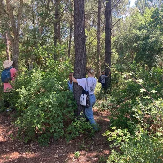 Bain de forêt