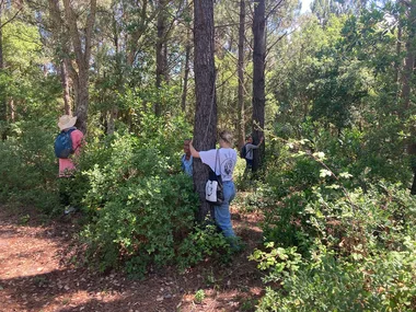 Bain de forêt