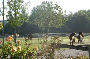 Ecole d’équitation du Menusé St Jean de Marsacq