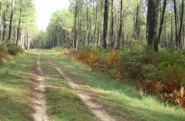 A Azur, circuit sur les traces de l’ancienne voie ferrée