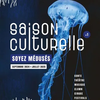 Saison culturelle de Capbreton #1 : Sortie culturelle, Le syndrome de Cassandre, Yann Frish