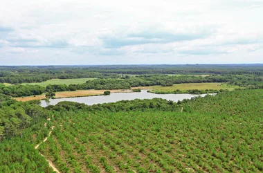 A la découverte de l’Adour Perdu, étang de Moïsan