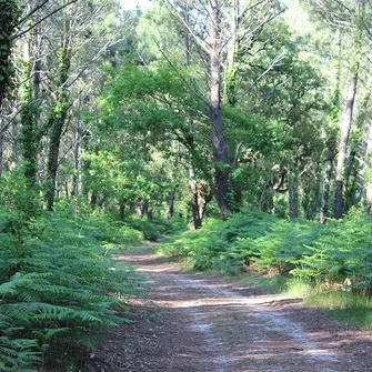 Quiétude et nature