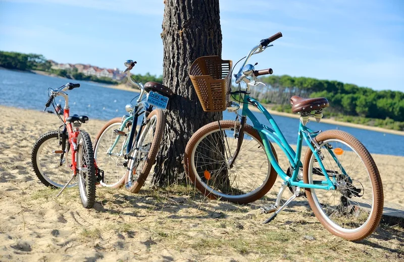 Freelandes / location de vélos