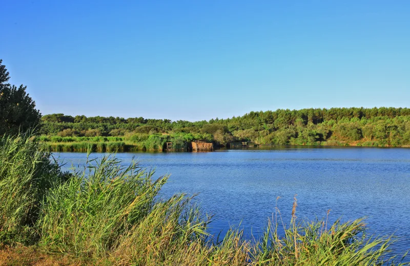 A la découverte de l’Adour Perdu, étang de Moïsan