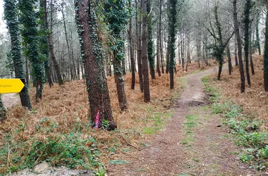 A Capbreton, parcours pédagogique du Tuc