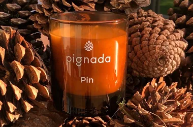 Pignada