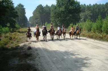 Ecole d’équitation du Menusé St Jean de Marsacq