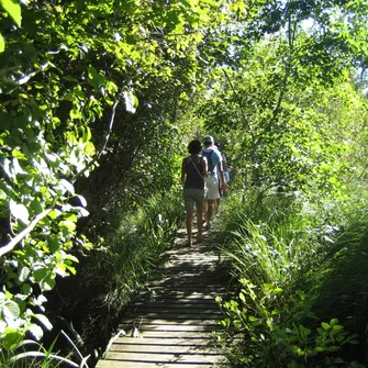 Les 50 ans de la Réserve Naturelle de l’Etang Noir