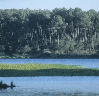 Pêche sur les étangs de Moliets et de La Prade