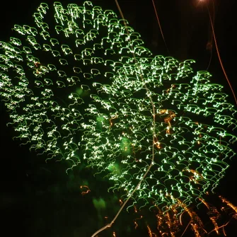 Fête de l’Assemblée / Feu d’artifice