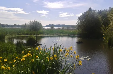 Réserve Naturelle du Marais d’Orx