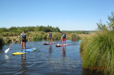 Canoë surfing