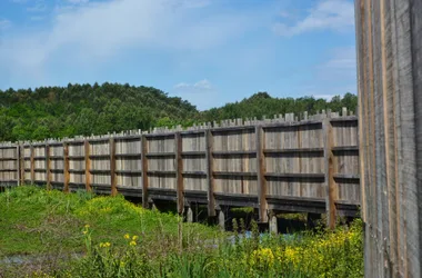 Réserve Naturelle du Marais d’Orx