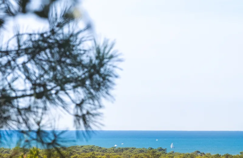 A Capbreton, circuit du Tuc des neuf églises