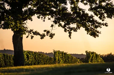 Bergerie des Vignerons de Tursan