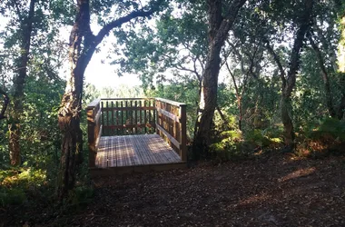 A Capbreton, parcours pédagogique du Tuc