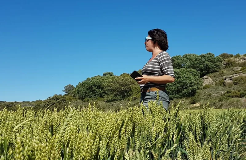 Découverte Nature Landaise par Mademoiselle Plante