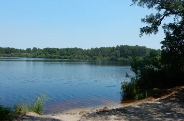 Etang de Moliets