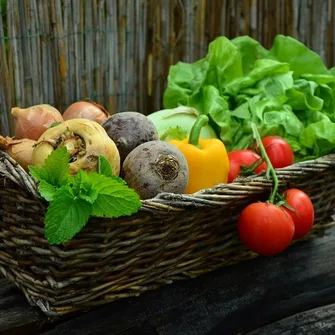 Marché traditionnel