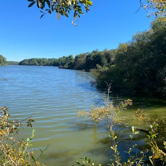 Les 50 ans de la Réserve Naturelle de l’Etang Noir